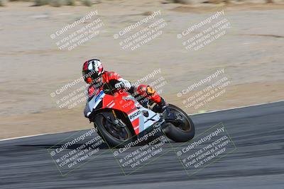 media/Feb-04-2024-SoCal Trackdays (Sun) [[91d6515b1d]]/4-Bowl Backside (11am)/